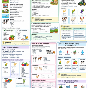 Grade 4 Geography Term 3