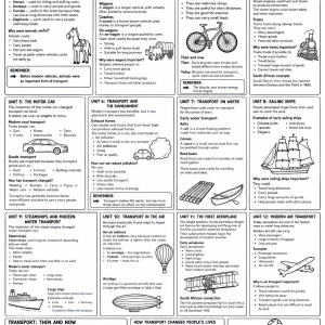 Grade 4 History Term 3