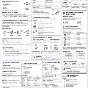 Grade 4 NST Term 3