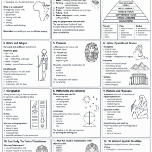 Grade 5 History Term 3
