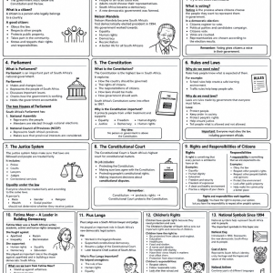 Grade 6 History Term 3