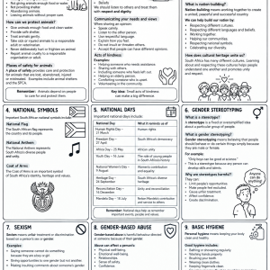 Grade 6 PSW Term 3